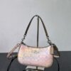 NWT COACH Teri Shoulder Bag In Rainbow Signature Canvas Silver/Sand Multi